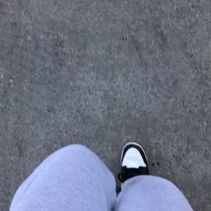 Meet your Posher, Bentlee